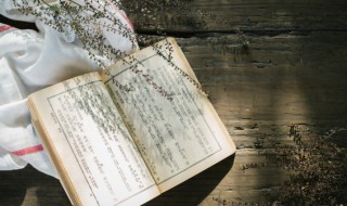 恋恋不舍意思（恋恋不舍意思相反的词语）