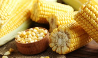 甜玉米应该怎么吃才美味 甜玉米应该怎么吃才美味视频