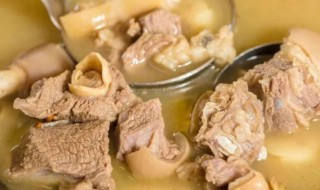 冬季补肾吃什么好呢（冬天补肾吃什么好）