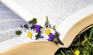 举世闻名意思（举世闻名意思是什么）