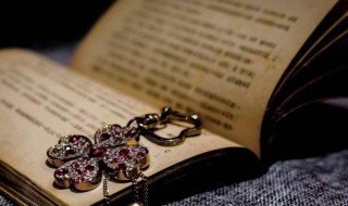 鱼贯而入意思（鱼贯而入意思相近）