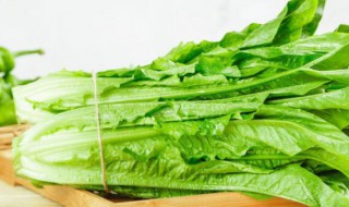 油麦菜有什么营养呢（油麦菜有什么营养呢百度百科）