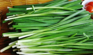 春天吃什么营养好（春天吃什么最营养）