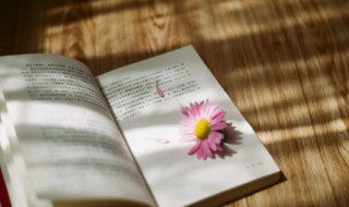 误入歧途意思 误入歧途意思是什么生肖