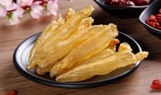 鱼胶的功效与作用 鳘鱼胶的功效与作用