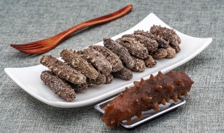 盘点海参的功效 海参的功效百科