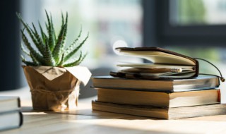 原形毕露意思（原形毕露意思的成语）