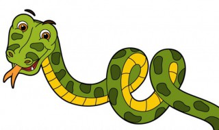 女人梦见蛇头断了预示着什么 女人梦见蛇头断了预示着什么呢