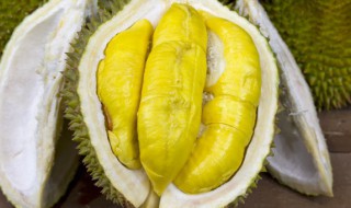 盘点榴莲炖鸡的那些事儿 榴莲榴莲炖鸡