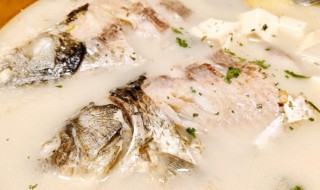 产妇吃鲫鱼怎么做呢 产妇吃的鲫鱼怎么做
