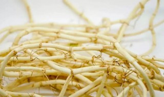 鱼腥草常吃有什么样的功效呢 鱼腥草常吃有什么样的功效呢