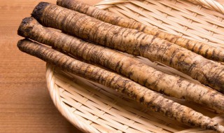 牛蒡禁忌和功效（牛蒡的功效与作用及禁忌的功效与作用）