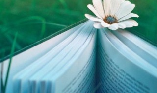 刎颈之交意思（刎颈之交意思和造句）