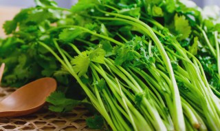 五香菜根和五香菜丝的做法 五香菜根和五香菜丝的做法区别