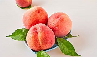 桃子品种有哪些 桃子品种有哪些 百度网盘