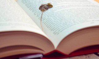 励志朋友圈唯美阳光 阳光励志的朋友圈句子