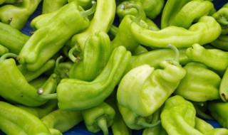 梦见尖椒(梦见尖椒是什么意思)