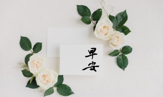 天冷了早上好的问候美句 天冷早上问好的句子