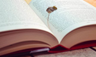 学而不厌意思（学而不厌意思和造句）