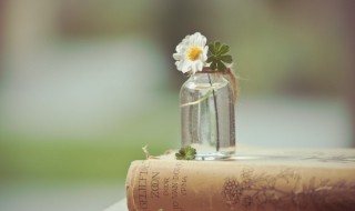 愿我们永远是朋友说说（愿我们永远是朋友说说短句）