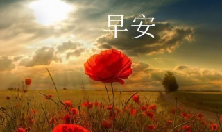 清晨寄语正能量一句话 元气满满的早安文案