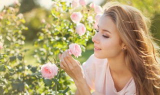 优美的句子摘抄简短8字(优美的句子摘抄简短8字左右)