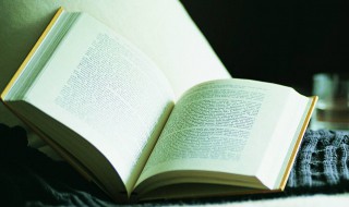 引吭高歌意思 引吭高歌意思和造句