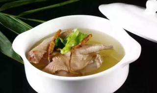 鸽子汤不能和什么一起吃（鸽子煲汤用什么材料比较有营养）