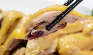 哪些人不能吃柴鸡（柴鸡可以吃吗）