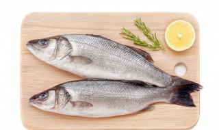 隔夜的清蒸鲈鱼还能不能吃（清蒸鲈鱼隔天还能吃吗）