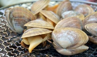 哪些人不能吃河蚬(河蚬能不能吃)