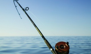 哪些人不能吃加吉鱼 加吉鱼能生吃吗