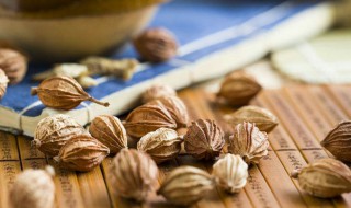 砂仁的吃法（砂仁的吃法与用量）