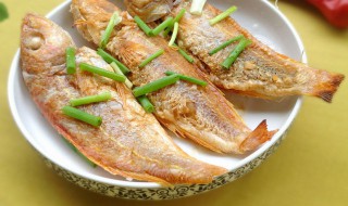 金线鱼的吃法(金线鱼的吃法大全)