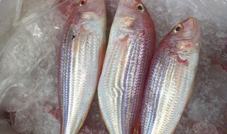 哪些人不能吃红衫鱼 吃红衫鱼禁忌