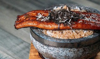 哪些人不能吃河鳗 哪些人不能吃河鳗鱼