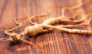 孕妇能吃人参吗 孕妇能吃人参果吗