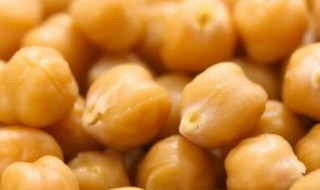 哪些人不能吃鹰嘴豆 那些人不能吃鹰嘴豆