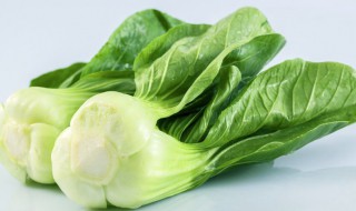 哪些人不能吃瓢儿菜(哪些人不能吃瓢儿菜的原因)