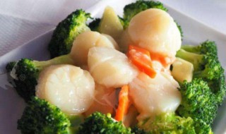 带子的吃法 初雪带子的吃法