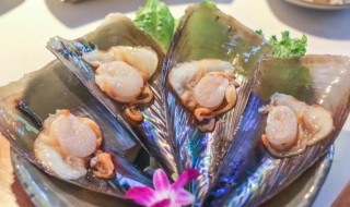 哪些人不能吃带子 什么人不能吃带子