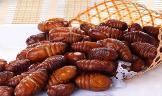 哪些人不能吃蚕蛹 三种人不宜吃蚕蛹