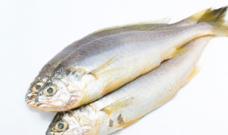 鱼籽的吃法 鱼籽的吃法和做法大全