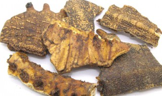 龟板的吃法 海龟板的吃法