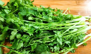 芫荽的吃法（芫荽怎样做好吃）