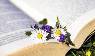 十个字干净短句 很走心的干净短句10字