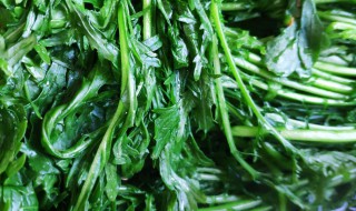 雪里红的吃法 雪里红怎么炒着好吃