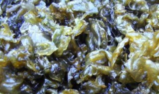 哪些人不能吃地皮菜 那些人不可以吃地皮菜