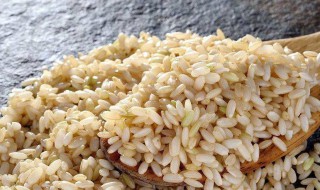 哪些人不能吃粳米(哪些人不能吃粳米饭)