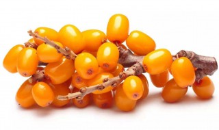 沙棘果的吃法 沙棘干果的最佳吃法的功效与作用